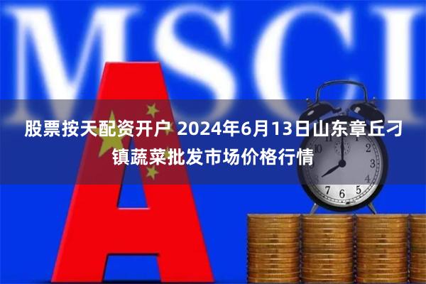 股票按天配资开户 2024年6月13日山东章丘刁镇蔬菜批发市场价格行情