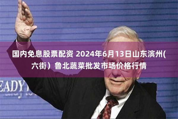 国内免息股票配资 2024年6月13日山东滨州(六街）鲁北蔬菜批发市场价格行情