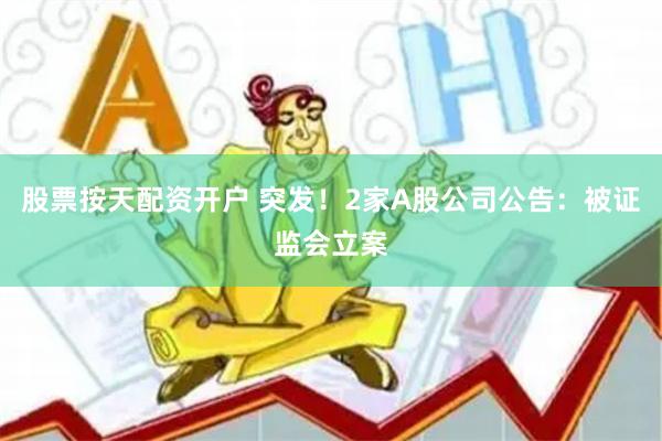 股票按天配资开户 突发！2家A股公司公告：被证监会立案