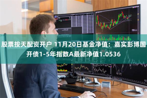 股票按天配资开户 11月20日基金净值：嘉实彭博国开债1-5年指数A最新净值1.0536